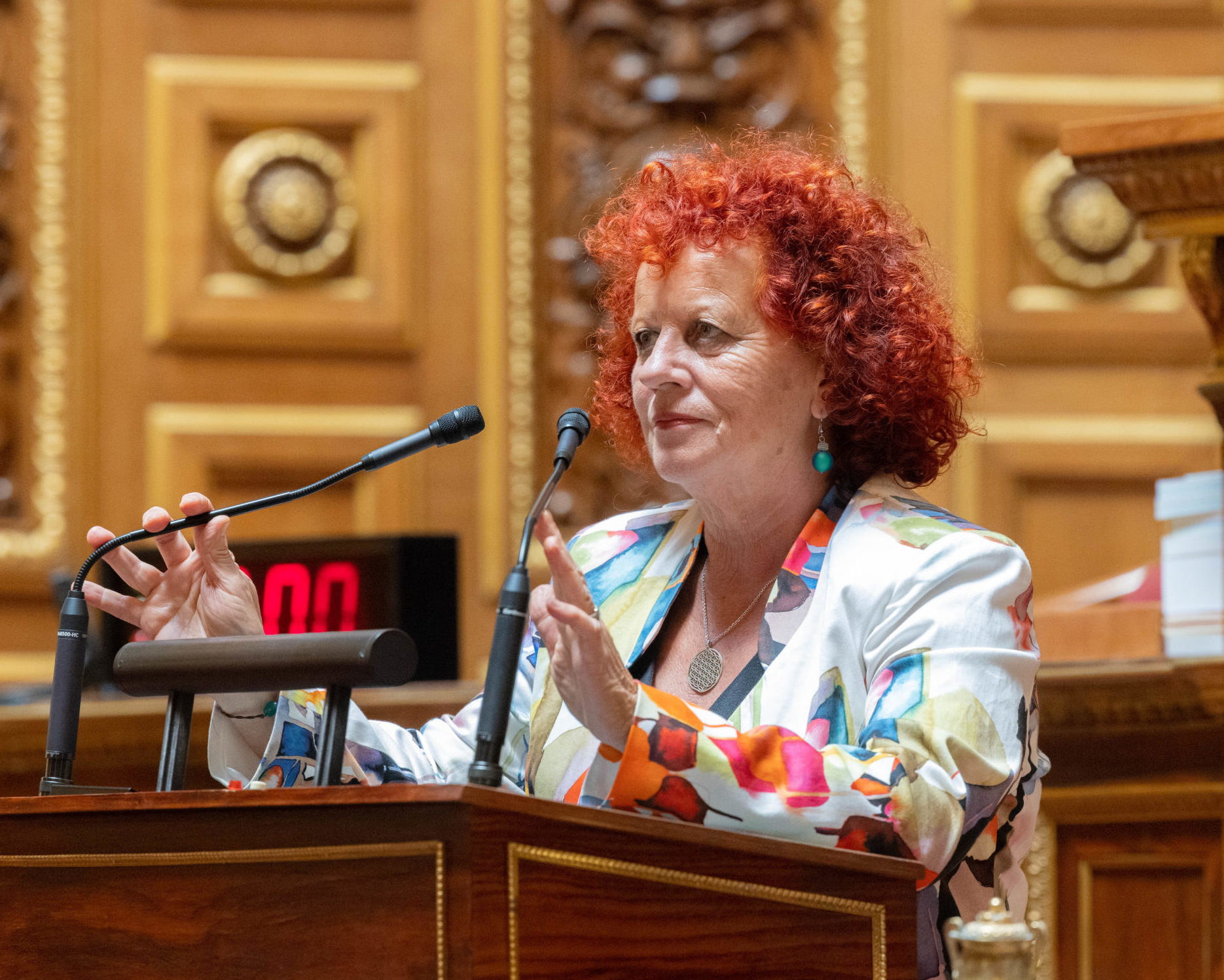 Hommage Samuel Paty de Monique de Marco au Sénat